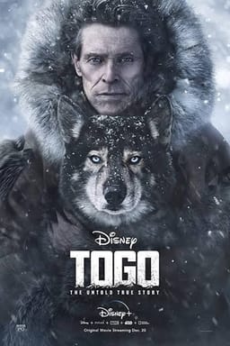 Poster de Togo: La verdadera historia