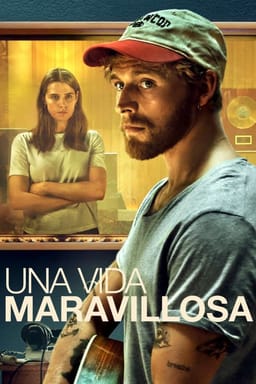 Poster de Una vida maravillosa