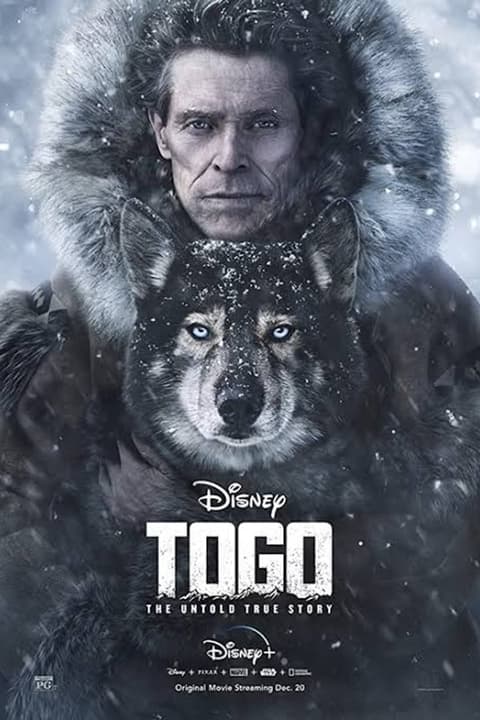 Poster de Togo: La verdadera historia
