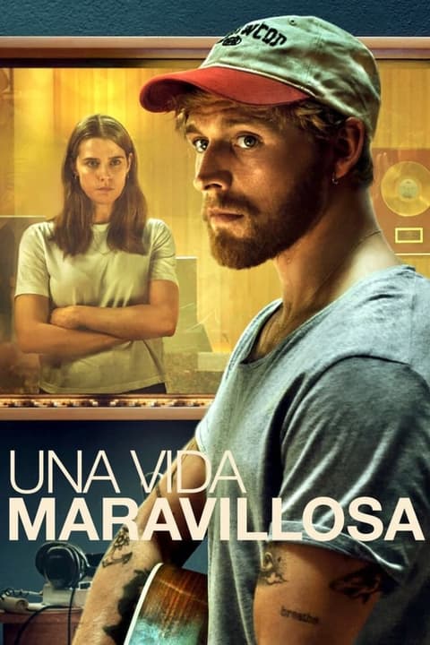 Poster de Una vida maravillosa